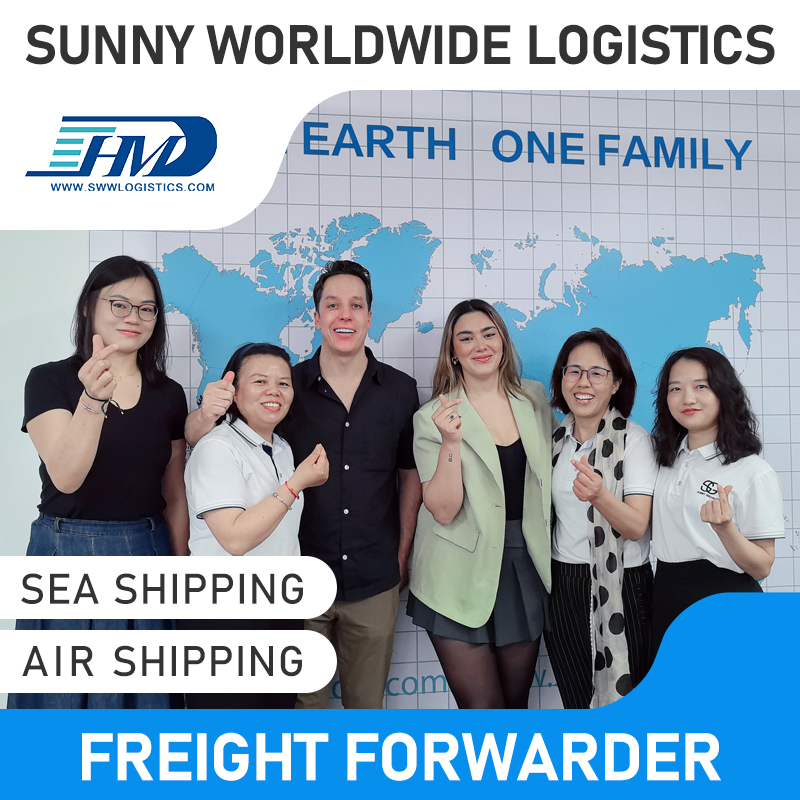 Swwls Fast DDP Logistics Shipping Service Provider Agente transitário de frete marítimo da China para a Suécia