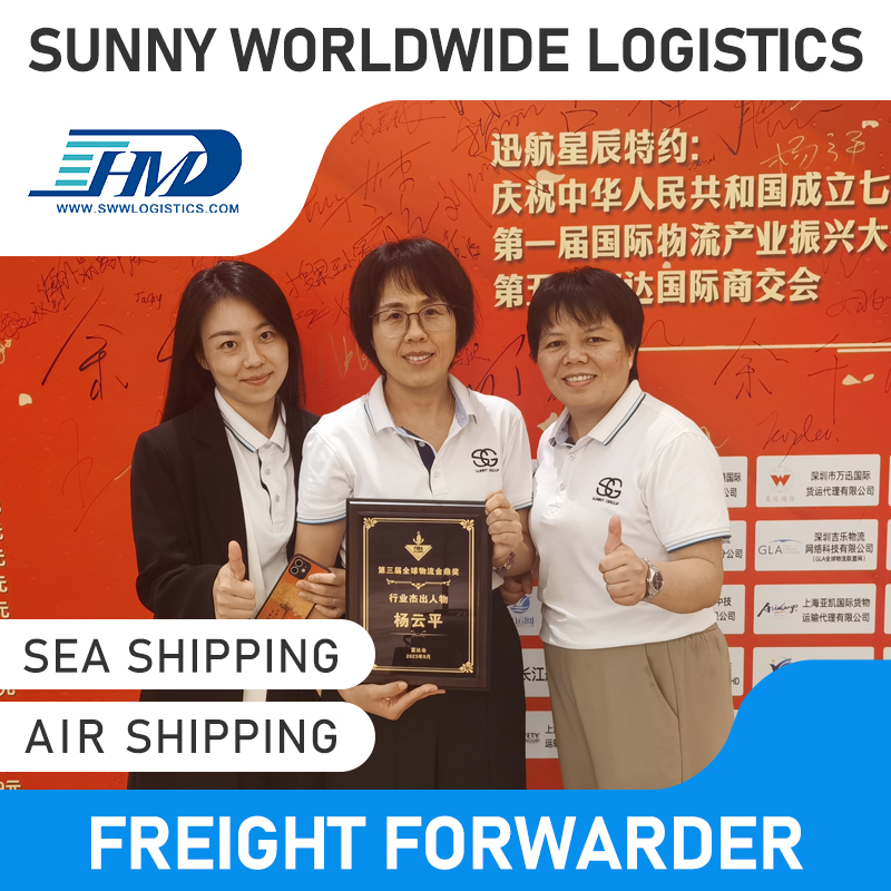 Swwls de porta em porta Express Express Air Freight e Service de transporte marítimo para a Itália