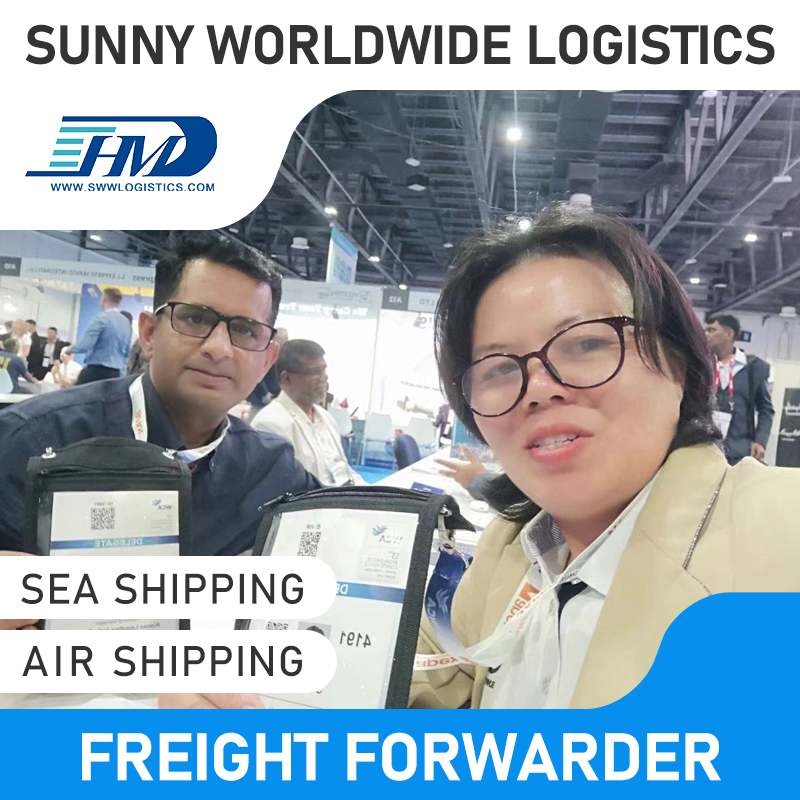 SWWLS DDP Shipping Freight Transvaring Agent Finder de China à l'Arabie saoudite Door to Door Expédition Services