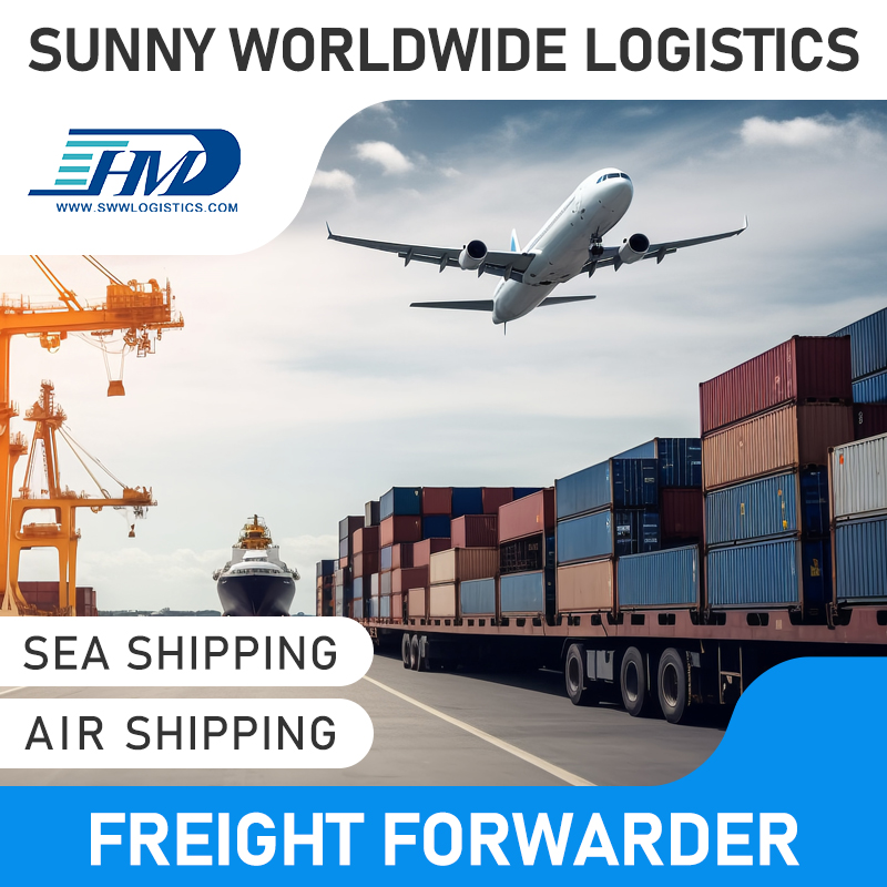 Swwls Air Shipping Freight Forwarder Chine vers la France DDP Logistique Expédition Tarif de fret compétitif Agent d'expédition