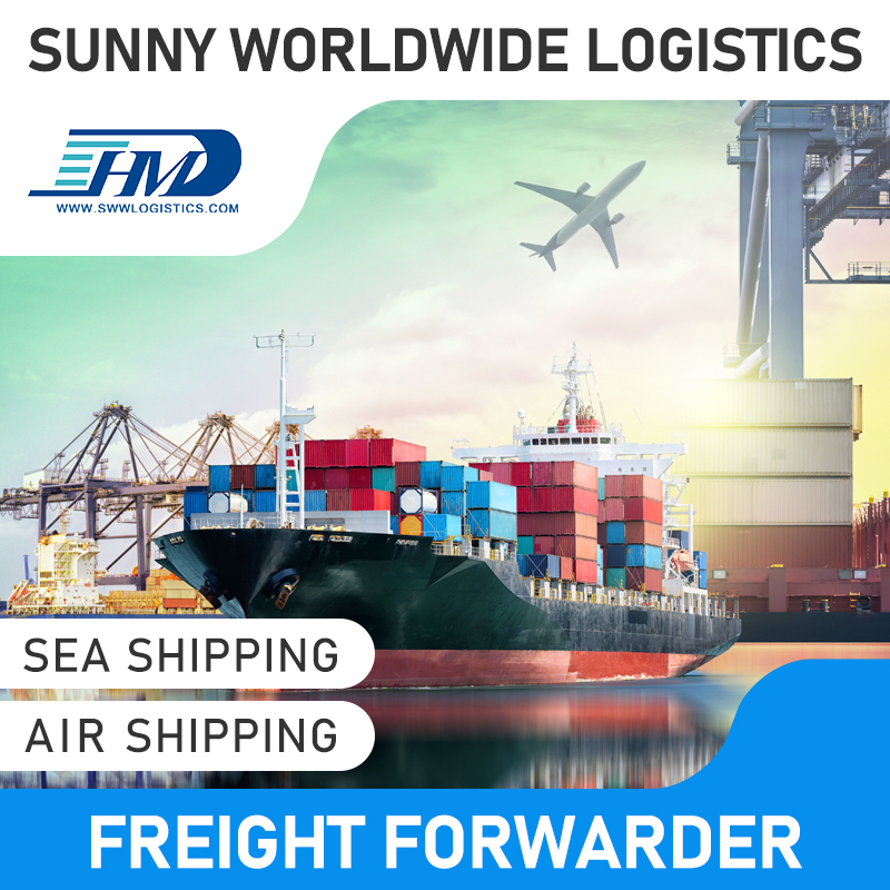 Swwls Fast DDP Logistics Shipping Service Provider Agente transitário de frete marítimo da China para a Polônia