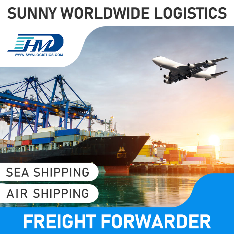 Swwls Professional Air Shipping Door to Door Forwarder DDP Air Shipping Agent Freight Forwarder China to Germany