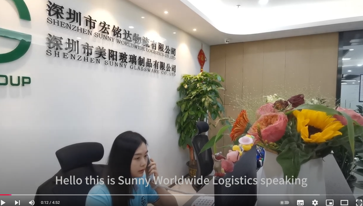 China Sunny Worldwide Logistics promotional video freight forwarder