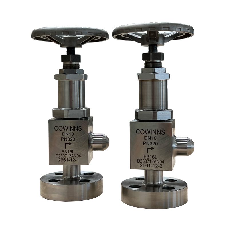 DN10 F316L PN320 RF Flange x BW angle globe valve