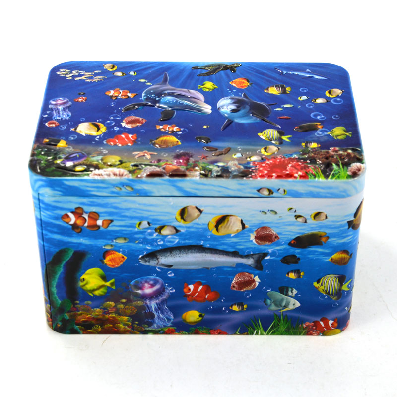 Custom Embossing Rectangular Tin Box