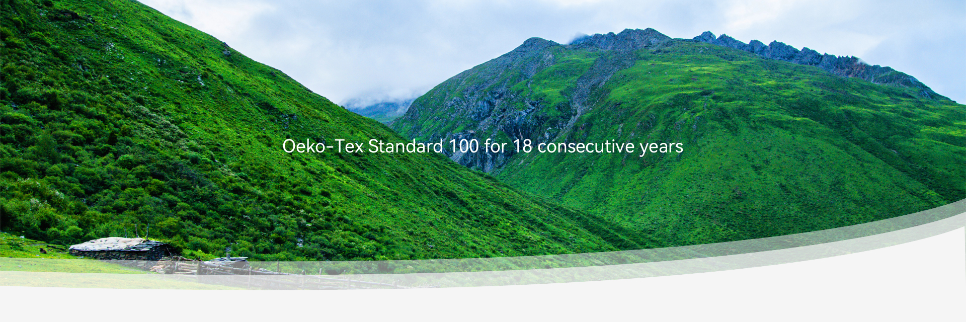 Global Recycled Standard