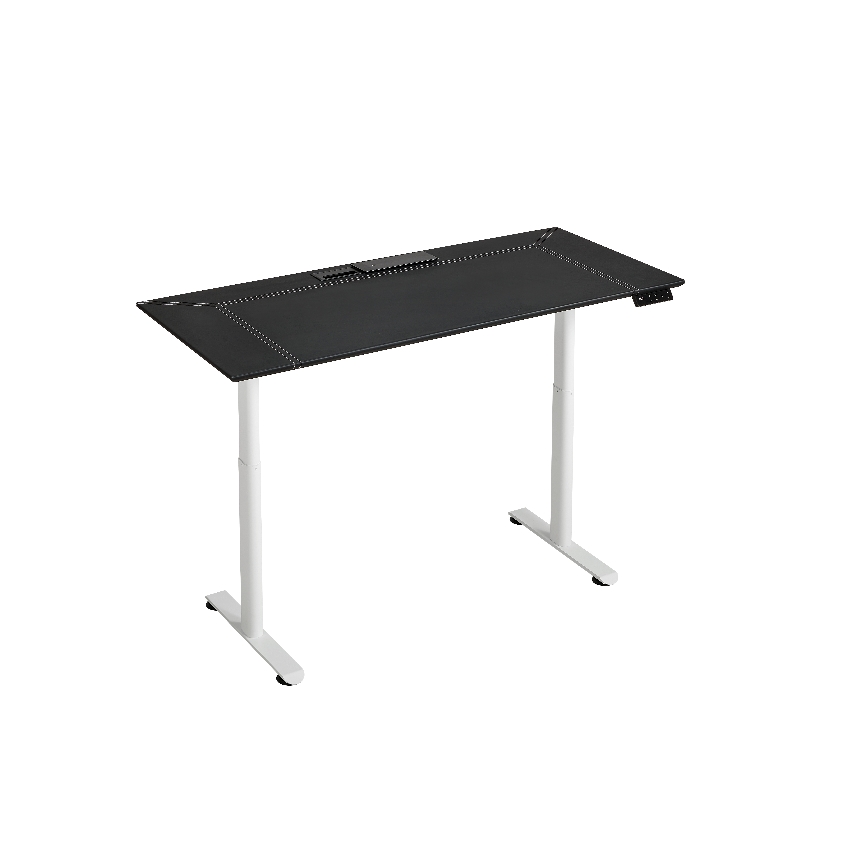 Electric Standing Desk: Stable, Fast Height Adjustment for Home & Office T020