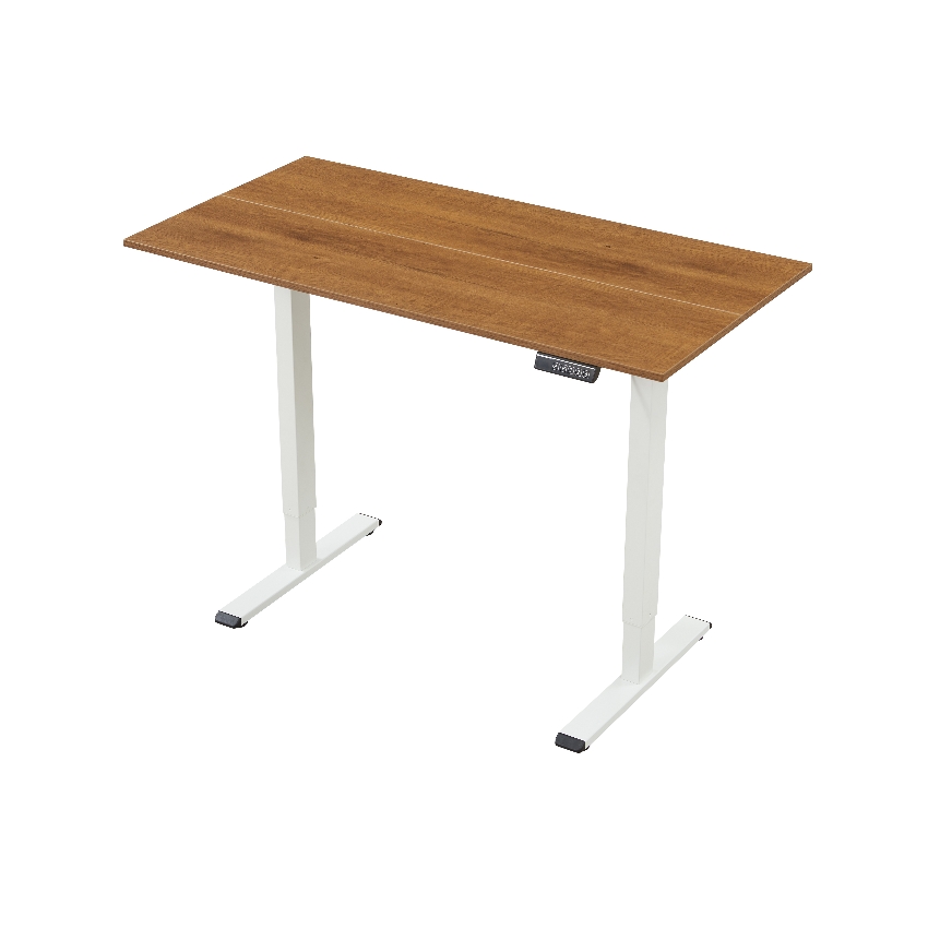 Electric Standing Desk: Stable, Fast Height Adjustment for Home & Office T029