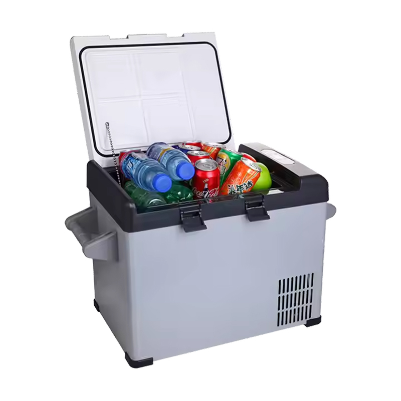 Frigo portatile termoelettrico per auto