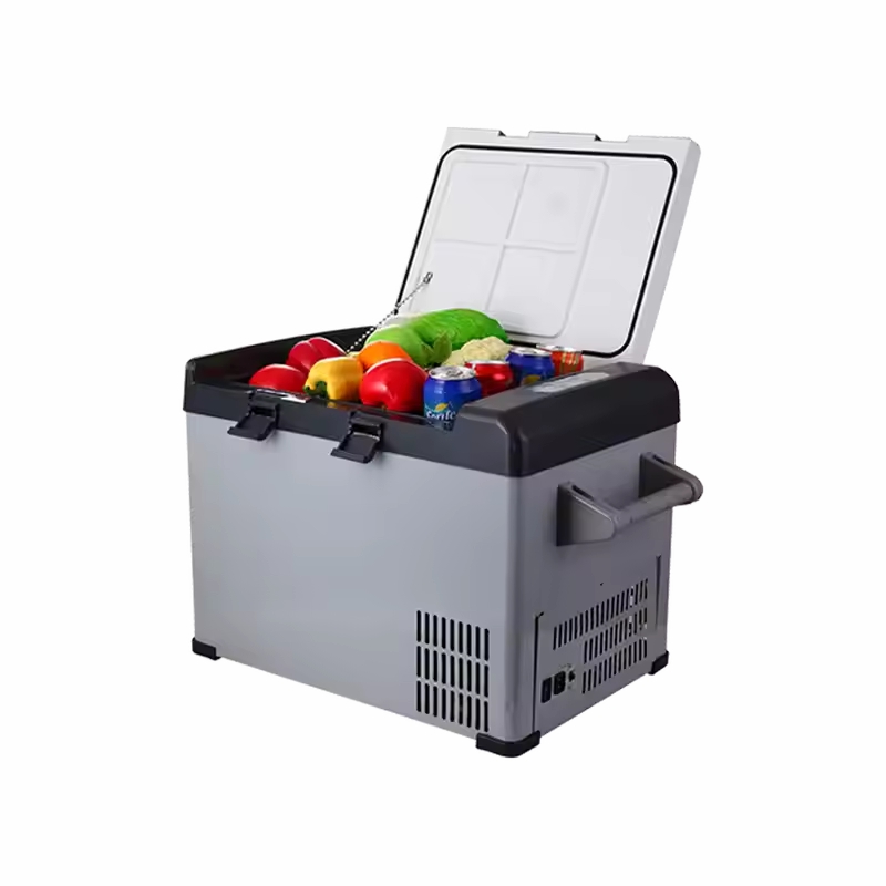 mini small capacity Refrigerator device