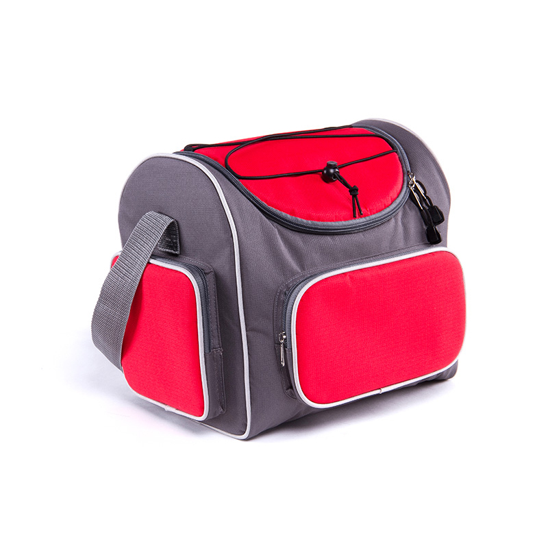 Thermoelectric Travel Cooler Bag