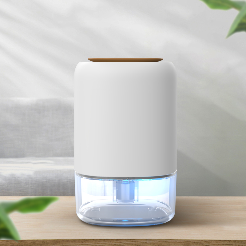 Intelligent dehumidifying