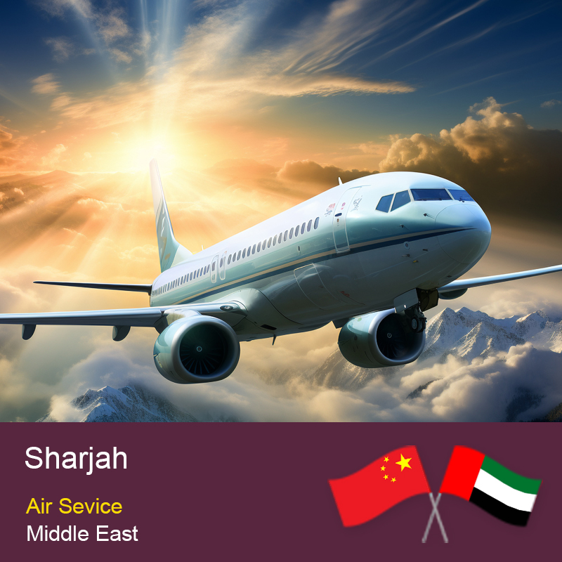 中国到沙迦货运和物流服务：一站式无忧运输