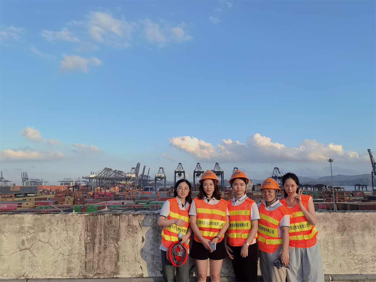 Evite retrasos de 2 a 3 días mediante el despacho prioritario para el flete DDP de China a Dubái