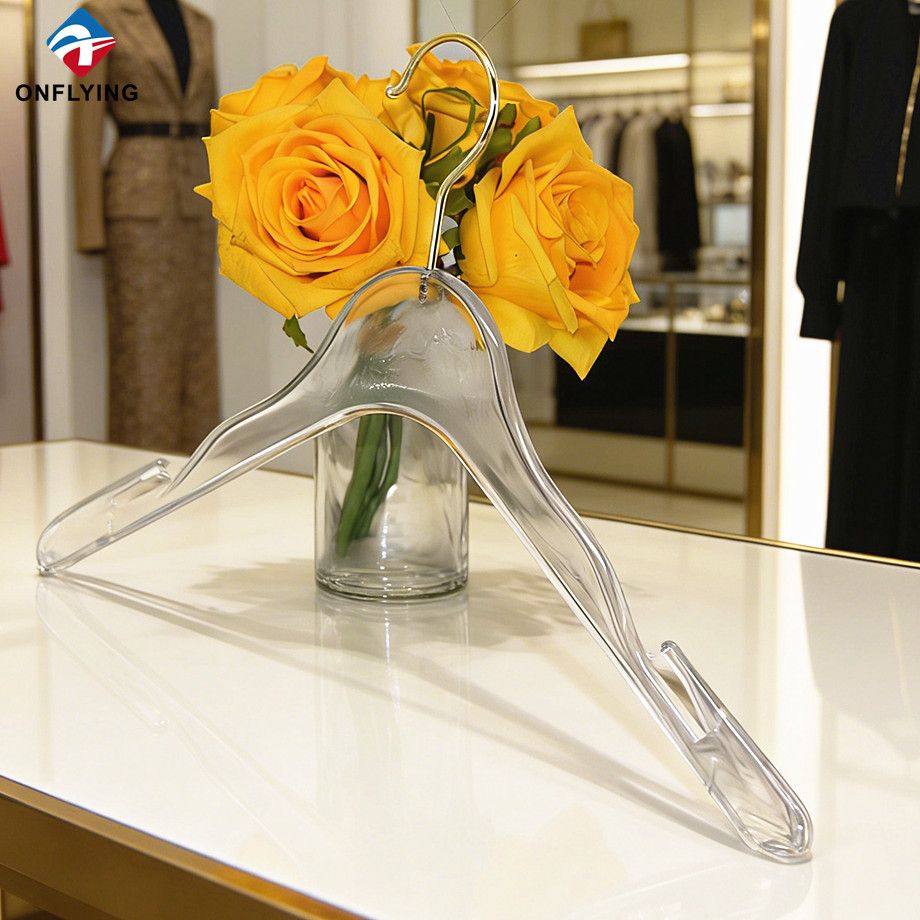 熱い販売の女性の滑り止めカスタマイズされた透明な ABS プラスチック ハンガー フック サプライヤー中国