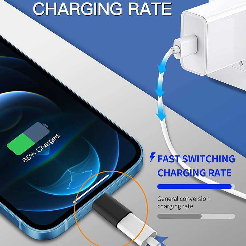 China USB C female to Lightning 8pin male adapter converter OTG Cable for iPhone and ipad manufacturer