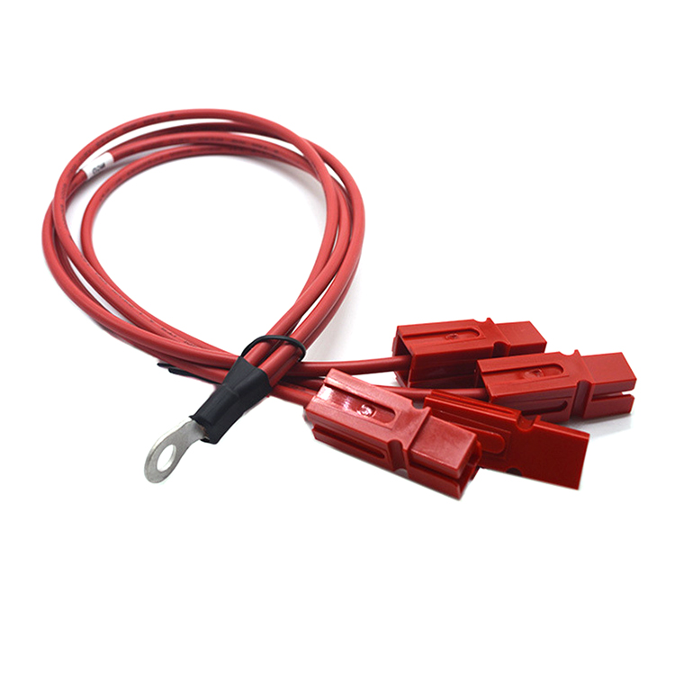 China New Energy Photovoltaic Wire Harness 10Awg Multi Single-Pole Plug O Ring Terminal Wire Cable Assembly manufacturer