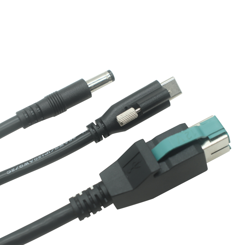 China 12V PoweredUSB Male to USB Type-C Male with Screw Lock + DC Male Power Cable | Custom 12V Power USB to Type-C Cable Manufacturer manufacturer