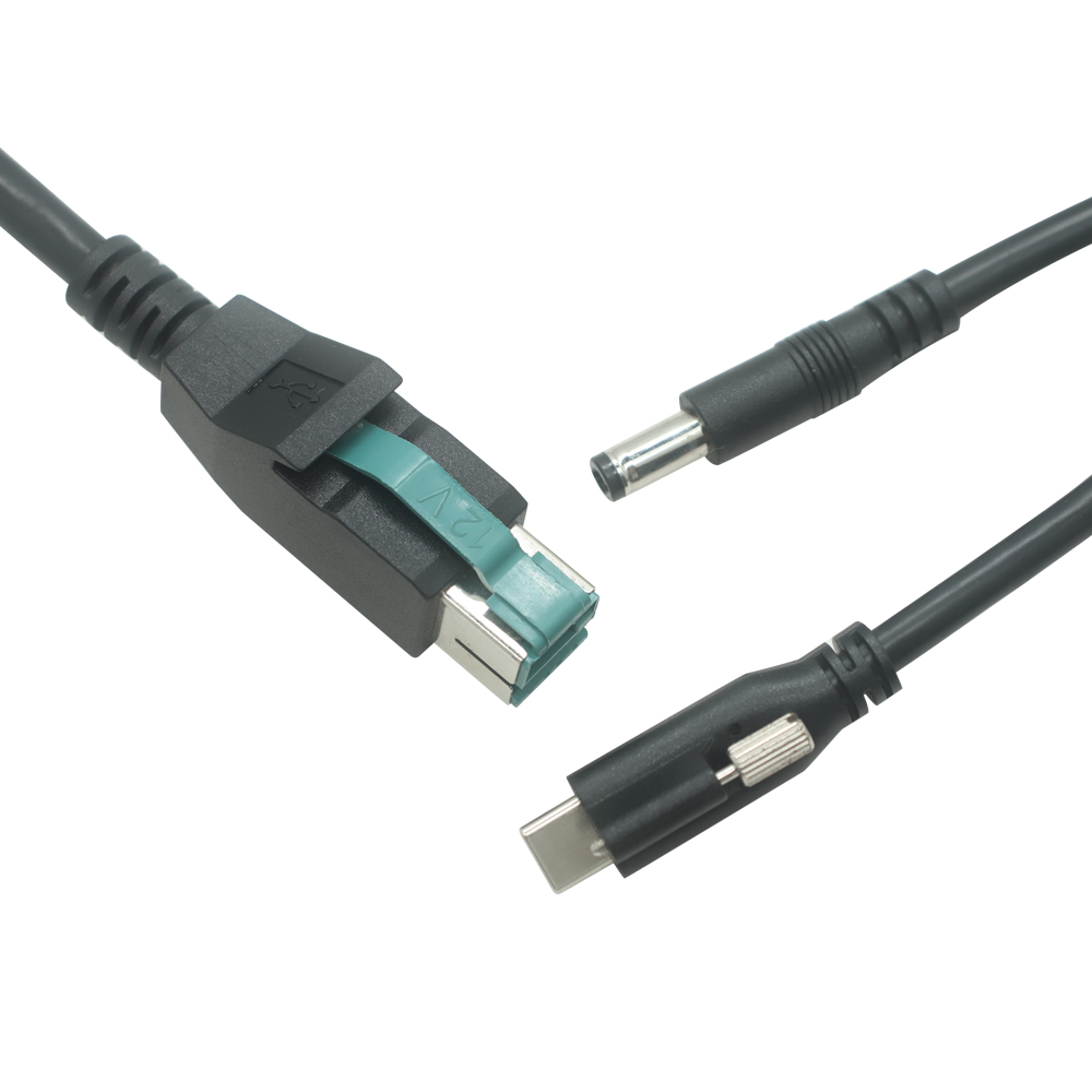 China 12V PoweredUSB Male to USB Type-C Male with Screw Lock + DC Male Power Cable | Custom 12V Power USB to Type-C Cable Manufacturer manufacturer