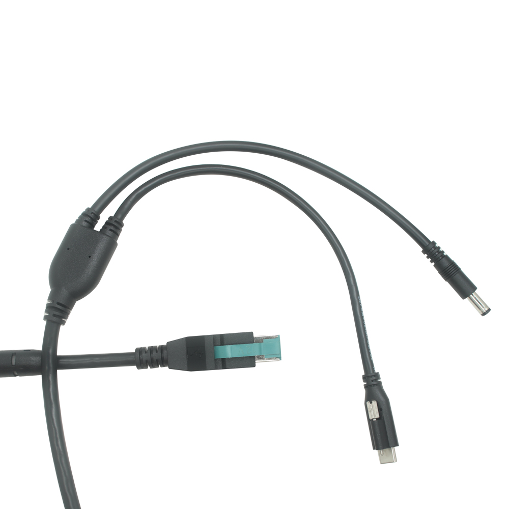 China 12V PoweredUSB Male to USB Type-C Male with Screw Lock + DC Male Power Cable | Custom 12V Power USB to Type-C Cable Manufacturer manufacturer