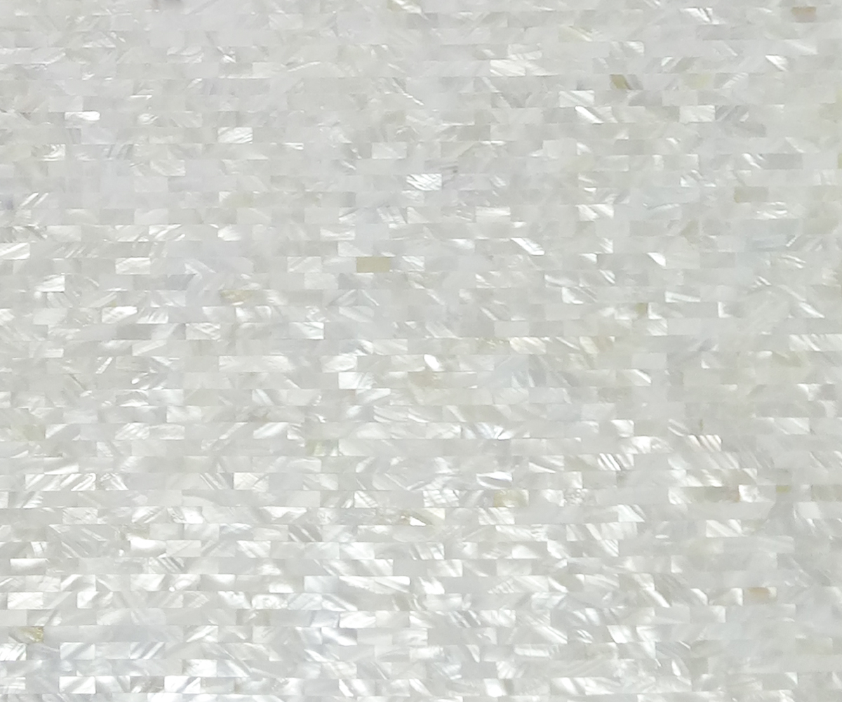 淡水贝壳马赛克