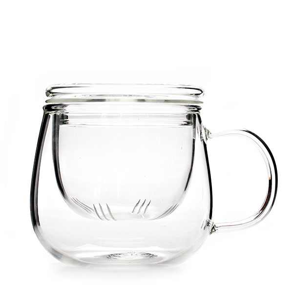 17oz Sustainable Bososilicate Glass Tea Cup with Glass Filter