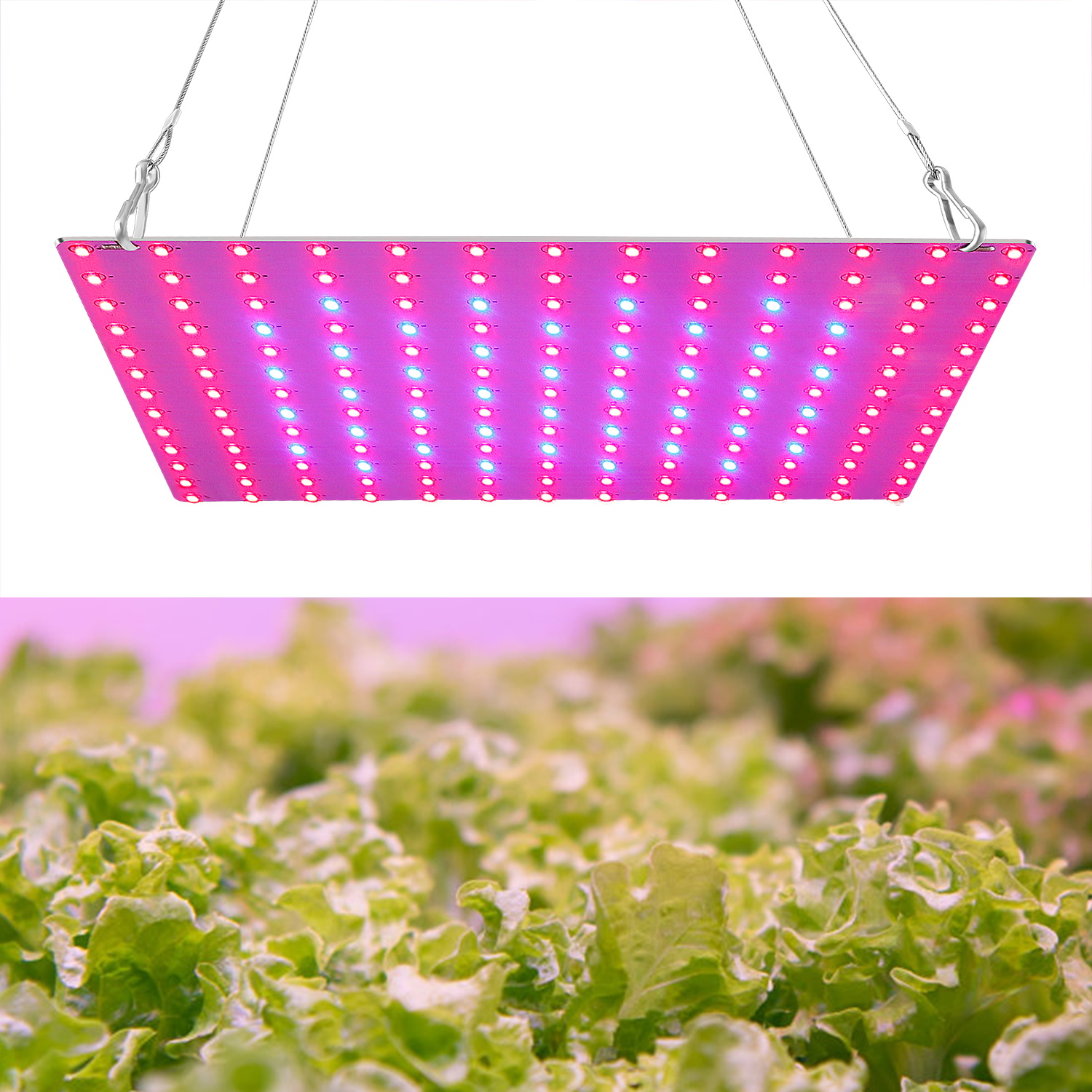 45W LED Full Spectrum Grow Light
