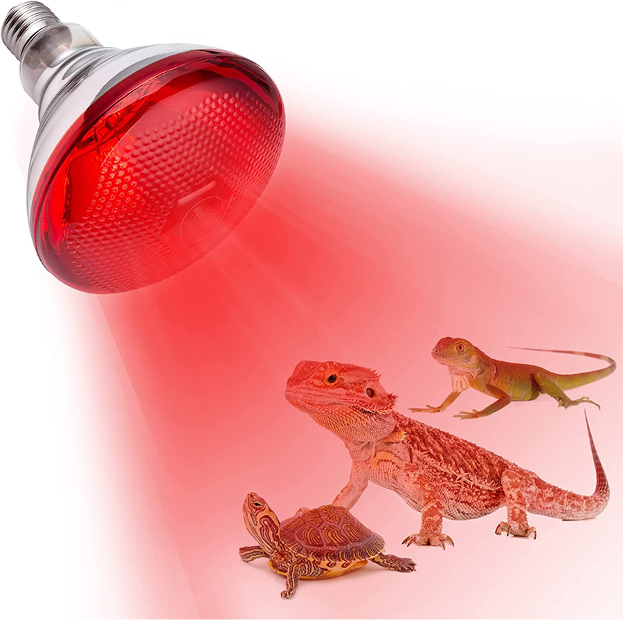 पिगलेट के लिए उच्च गुणवत्ता वाले अनुकूलित हीटिंग तत्व हैलोजन 300W हीट लैंप और इन्फ्रारेड बल्ब