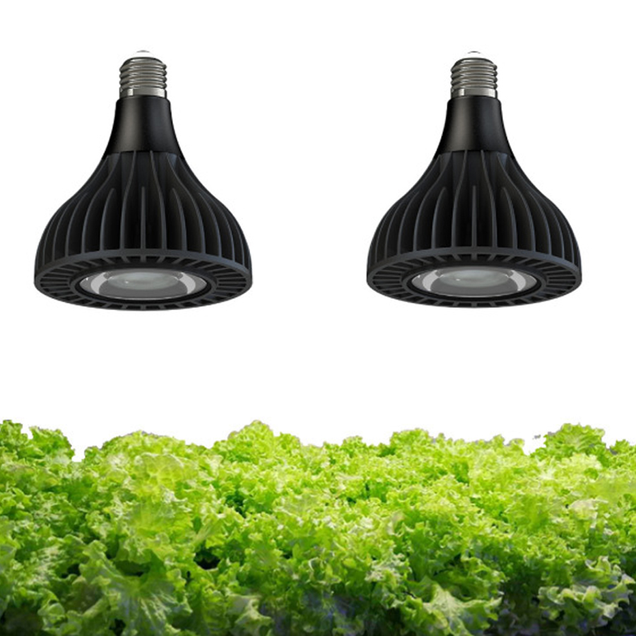 Full Spectrum Quantum Sunlight Vegetables Led Mushroom PAR38 30W 36W Grow Light Bulb