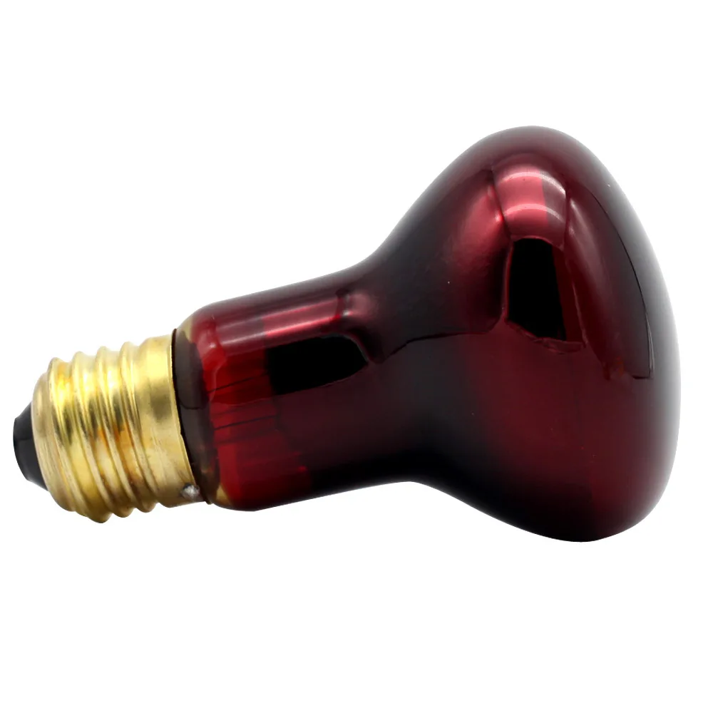 China Wholesales 220V Home Infrared Red Light Beauty Lamp Red Lights Therapy Device for Body