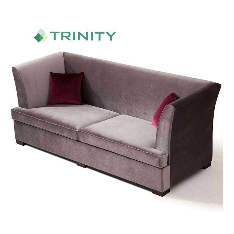 فندق بوتيك حديث الطراز المخملي منجد الضيافة 3 مقاعد أريكة