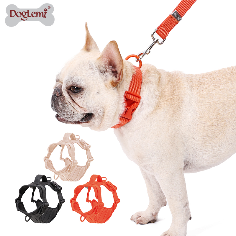 Arnés de correa de cuello suave para mascotas