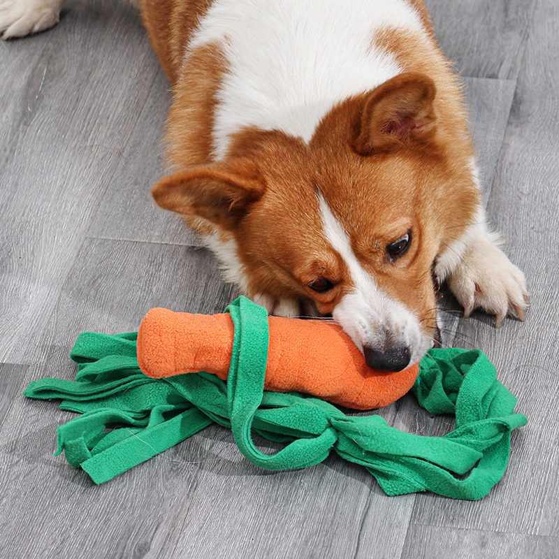 Juguete Snuffle para perro con diseño de zanahoria y hojas