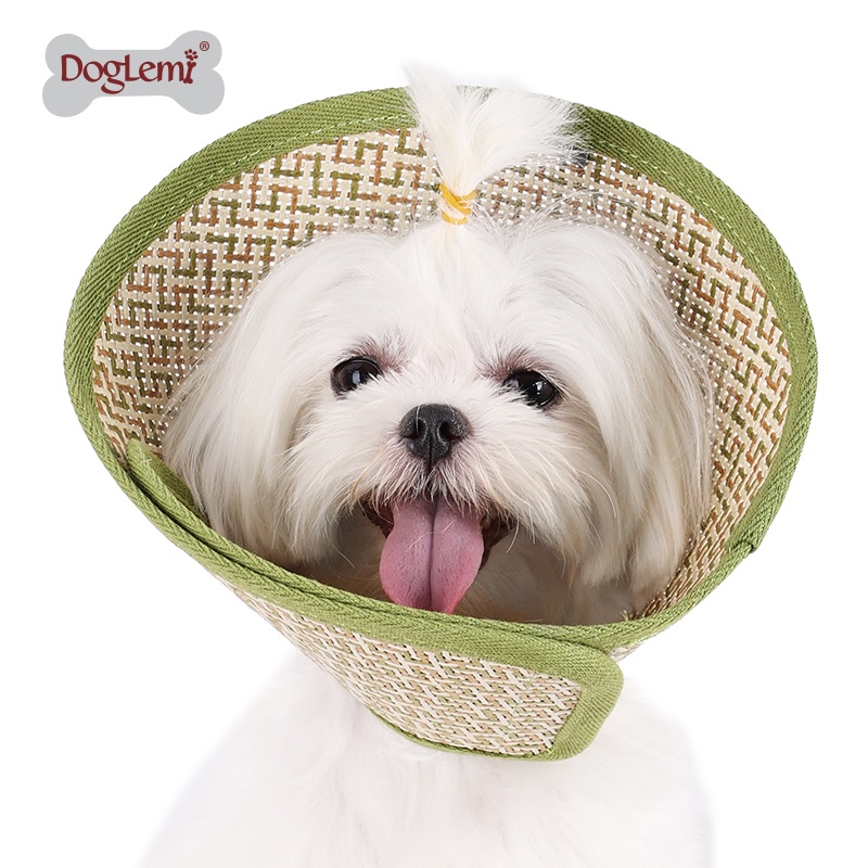 伊丽莎白圈狗狗猫咪项圈头套防舔耻辱圈  猫咪小型犬狗狗伊丽莎白圈头套猫圈绝育项圈用品防咬防舔圈