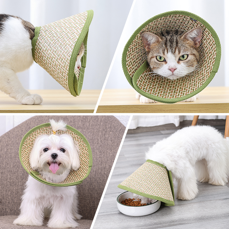 伊丽莎白圈狗狗猫咪项圈头套防舔耻辱圈 猫咪小型犬狗狗伊丽莎白圈头套猫圈绝育项圈用品防咬防舔圈