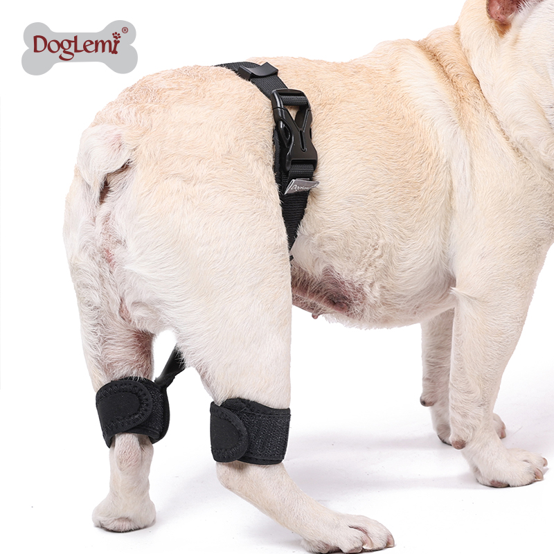 Pet Dog Leg Protector Hip Auxiliary Correction Belt