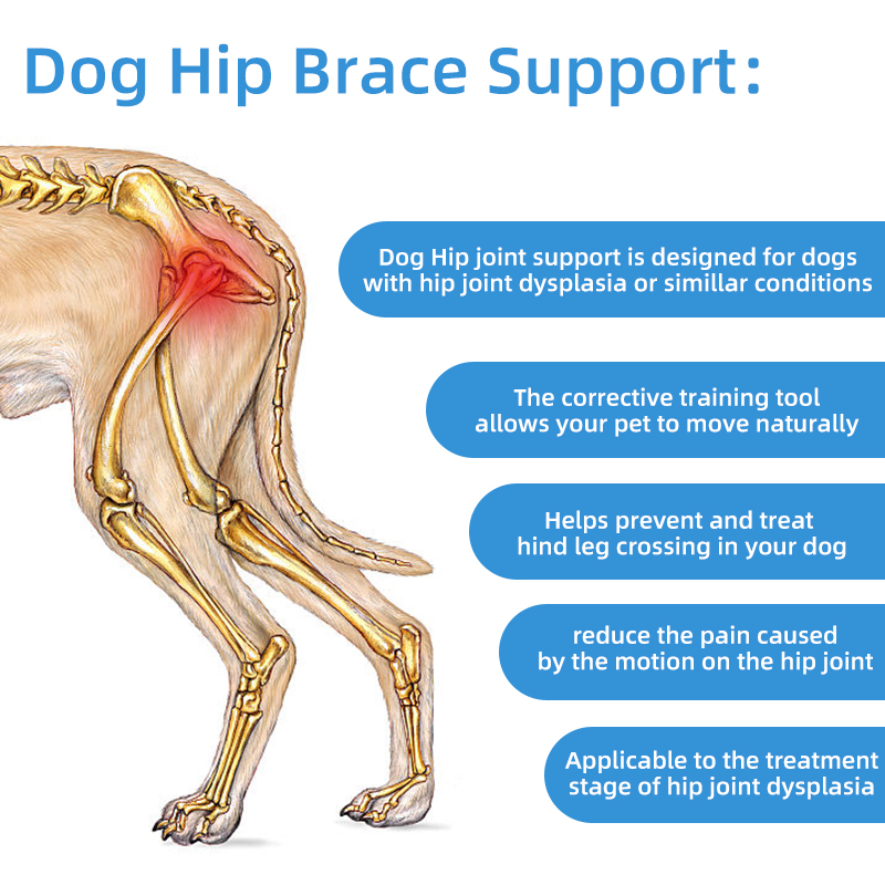 Pet Dog Leg Protector Hip Auxiliary Correction Belt