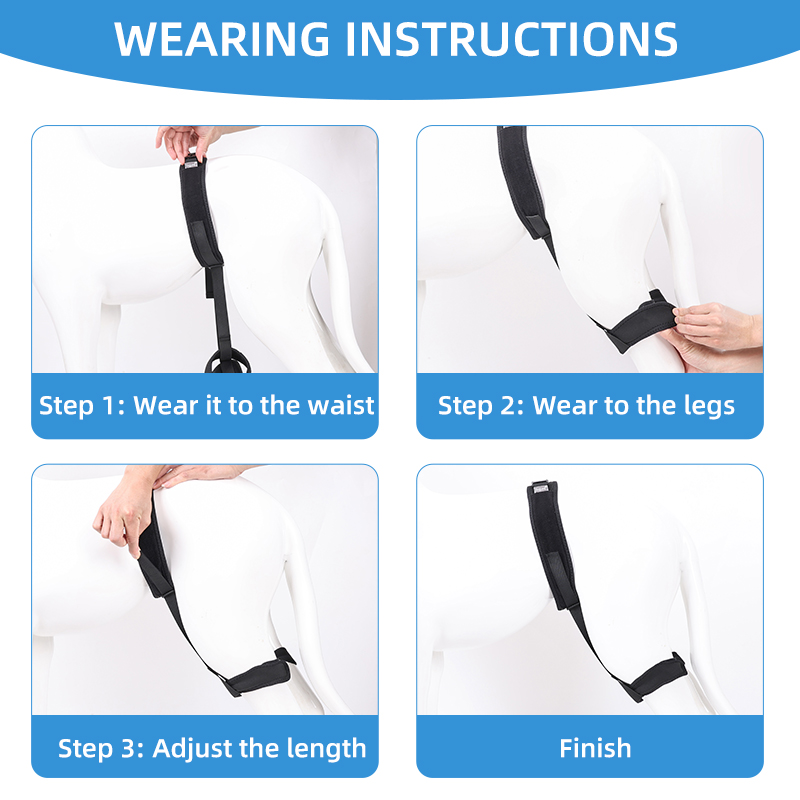 Pet Dog Leg Protector Hip Auxiliary Correction Belt