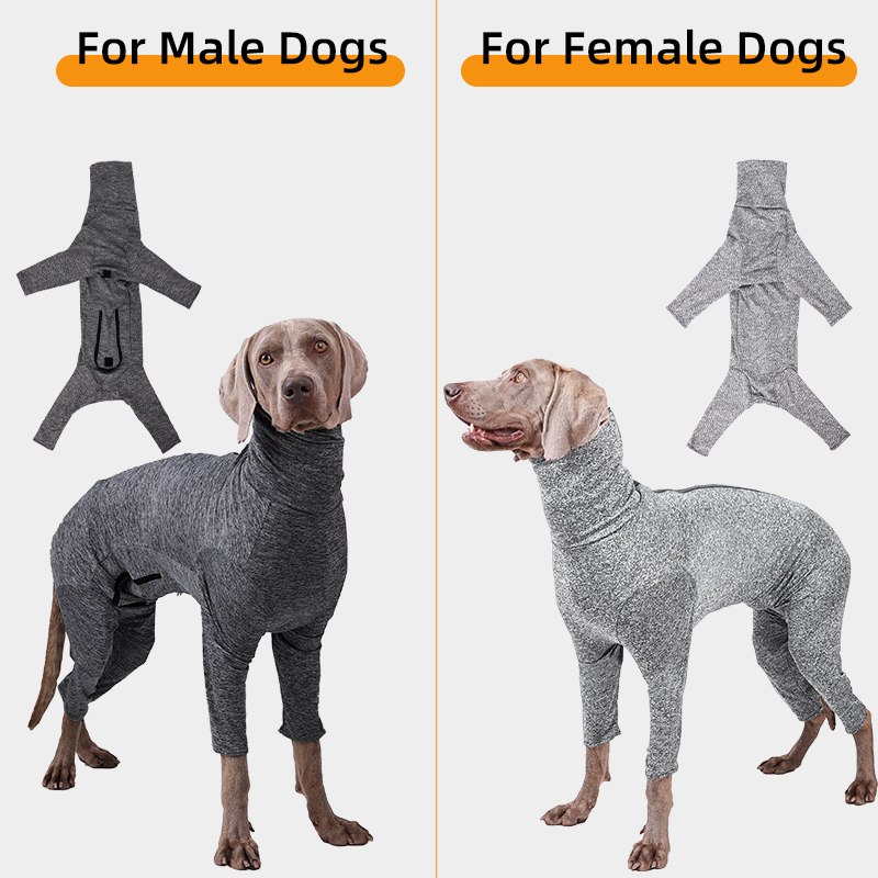 Wholesale Female Male Dog Onesie Shedding Bodysuit for Dogs Pet After Surgery Recovery Suit