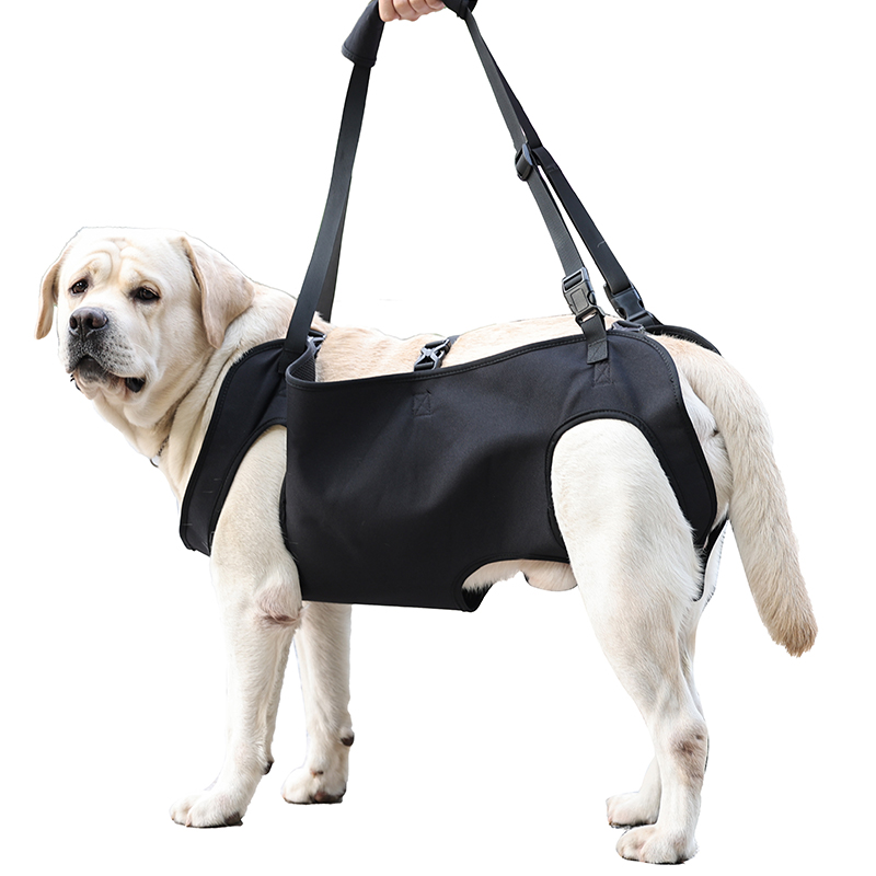 Adjustable Sling Support for Large Dogs , Dog Lift Support Harness Lifting Vest with Handles,  Dog Hip Support Brace Harness