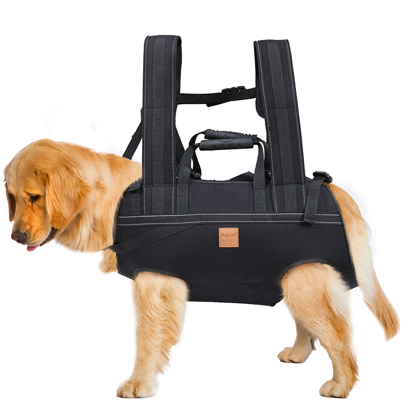 豪华便携式背包宠物狗包通风透气户外自行车摩托车宠物包