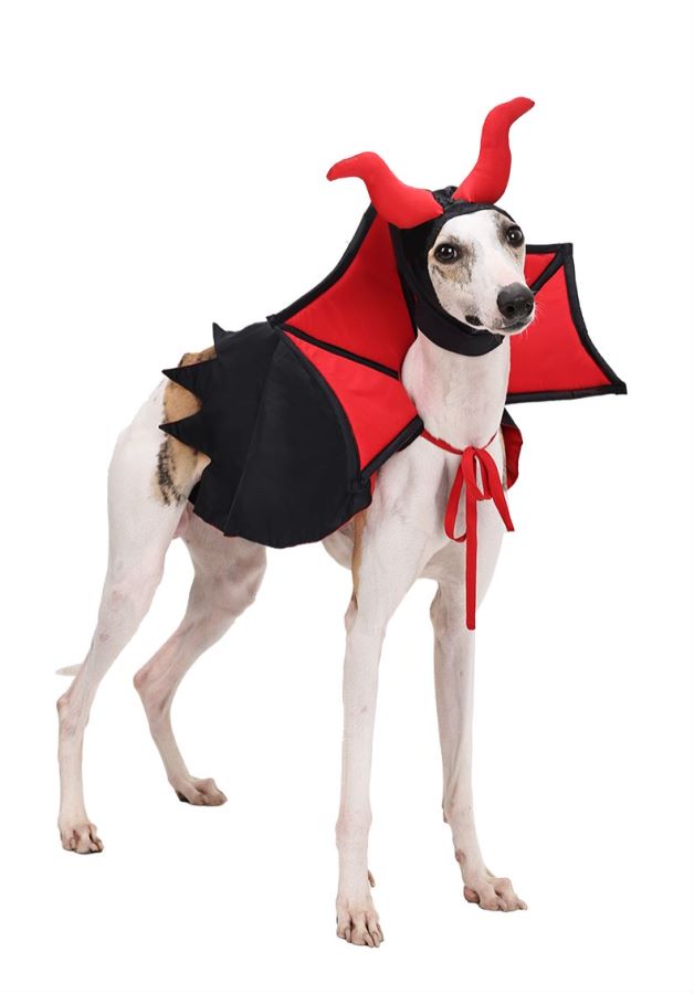 2 Pcs Pet Halloween Costume Cat Dog Cosplay Vampire Cape Devil Horns Hat Halloween Party Pet Cosplay