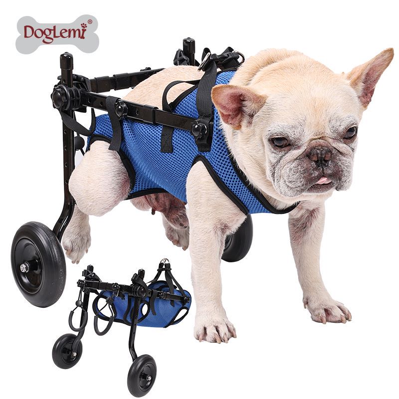 Producto personalizado para perros, venta al por mayor, silla de ruedas plegable ajustable para perros discapacitados/recuperación/mascotas discapacitadas, soporte para patas de perros mayores