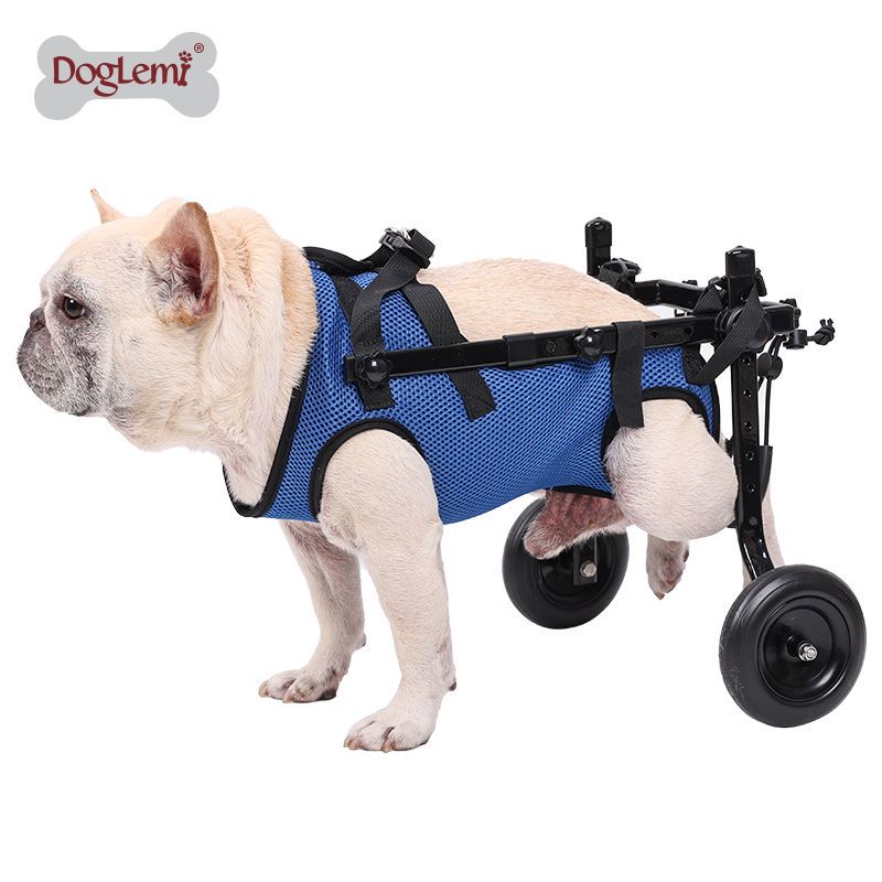 Producto personalizado para perros, venta al por mayor, silla de ruedas plegable ajustable para perros discapacitados/recuperación/mascotas discapacitadas, soporte para patas de perros mayores