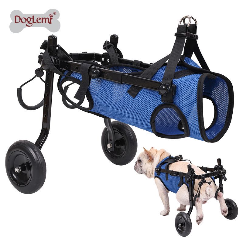 Producto personalizado para perros, venta al por mayor, silla de ruedas plegable ajustable para perros discapacitados/recuperación/mascotas discapacitadas, soporte para patas de perros mayores