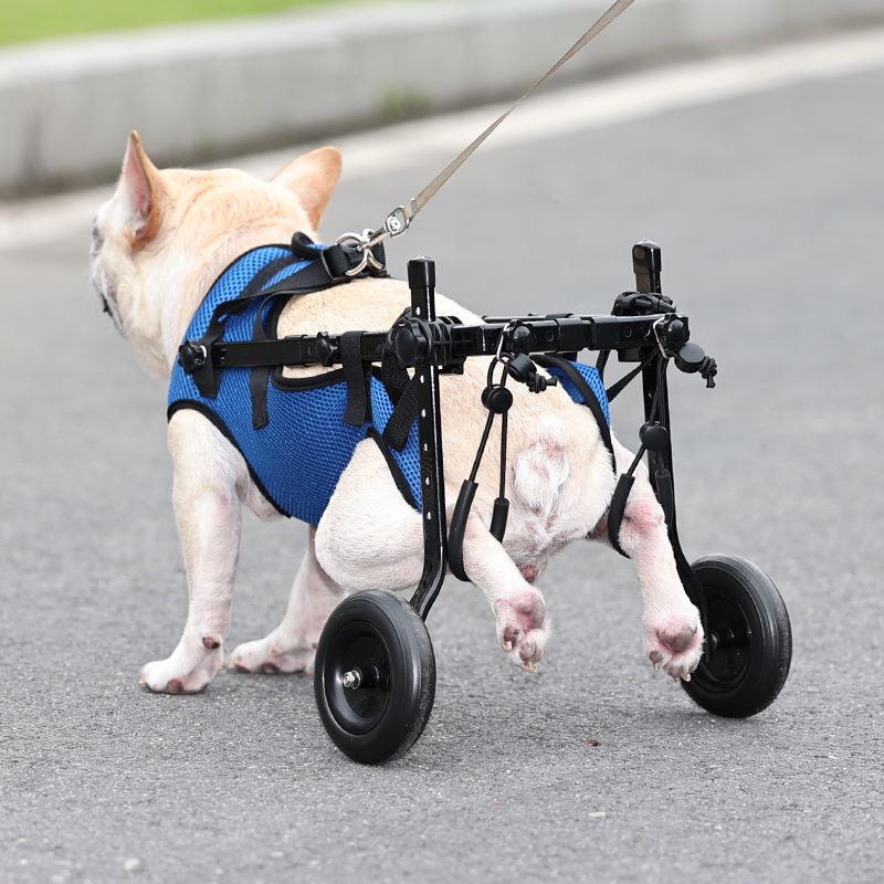 Producto personalizado para perros, venta al por mayor, silla de ruedas plegable ajustable para perros discapacitados/recuperación/mascotas discapacitadas, soporte para patas de perros mayores
