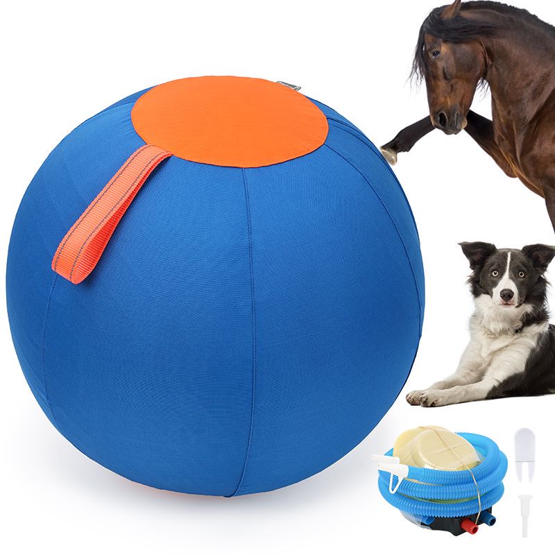 Large Herding Ball for Dogs Puppies, 18