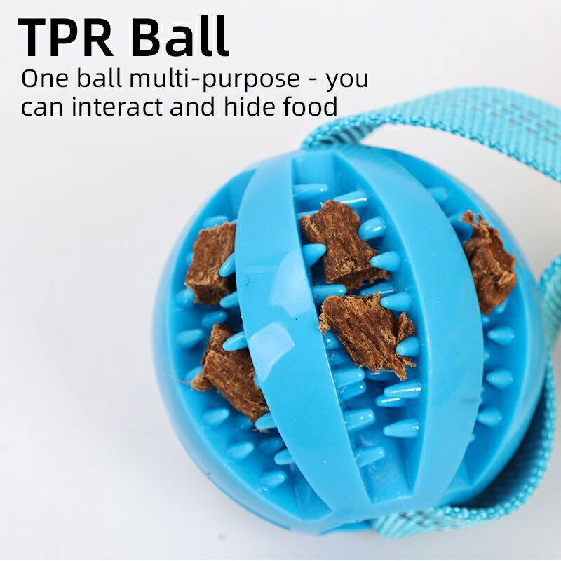 Direct factory dog Rope Toys for chew Training bungee tough rope for Tug of War Dog Toys