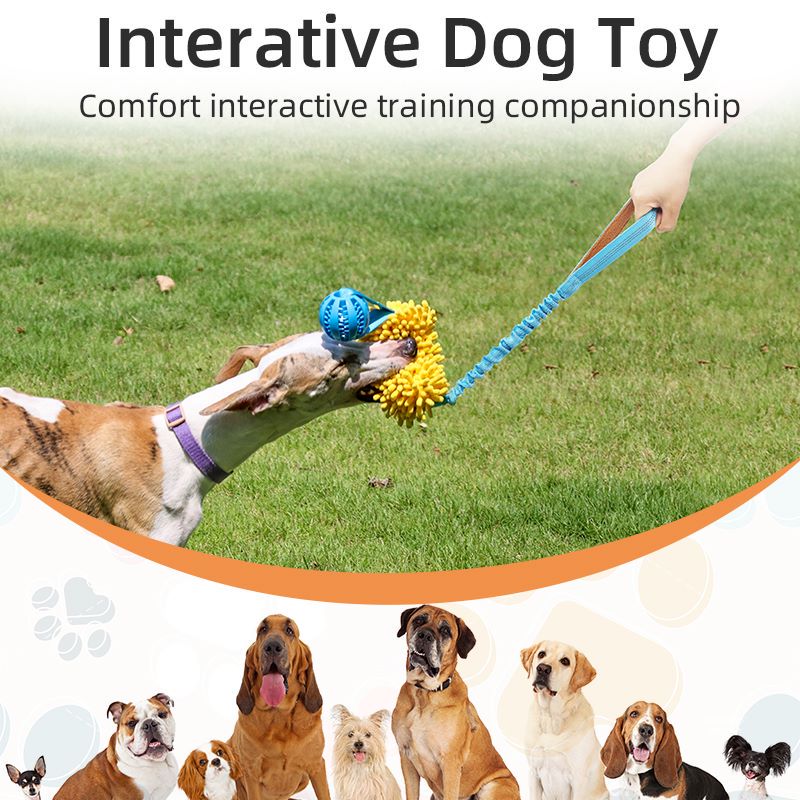 Direct factory dog Rope Toys for chew Training bungee tough rope for Tug of War Dog Toys