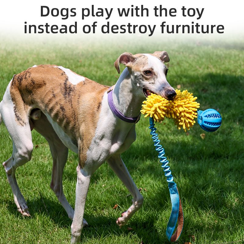Direct factory dog Rope Toys for chew Training bungee tough rope for Tug of War Dog Toys